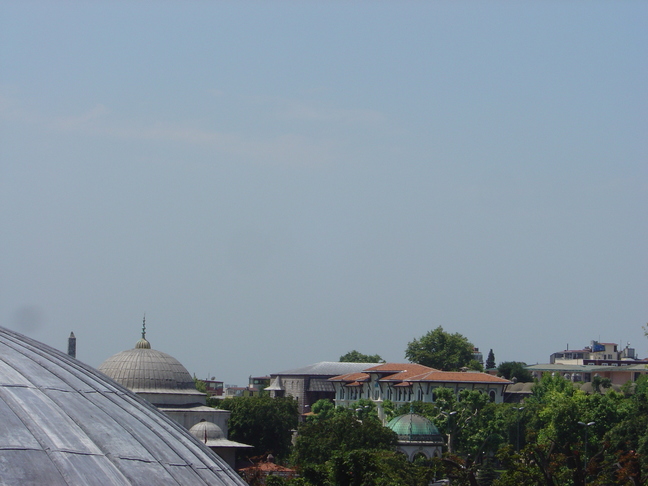 DSC06155